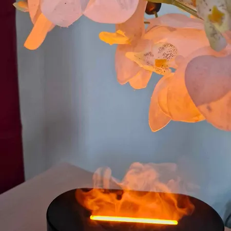 Hébergement de vacances Or Notre Jardin Secret